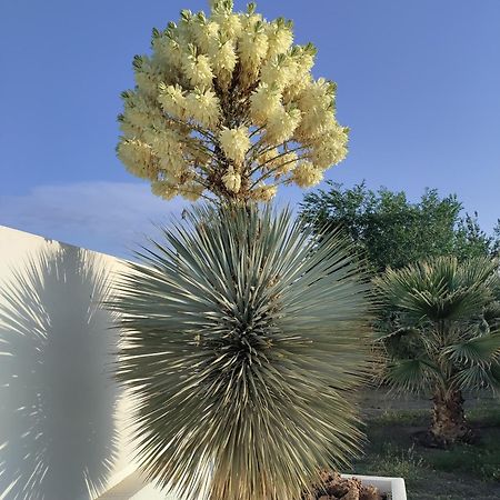 تابيرناس Cortijo Oro Verde B&B المظهر الخارجي الصورة