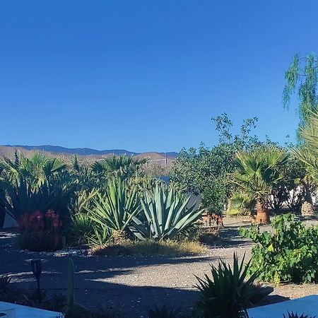 تابيرناس Cortijo Oro Verde B&B المظهر الخارجي الصورة