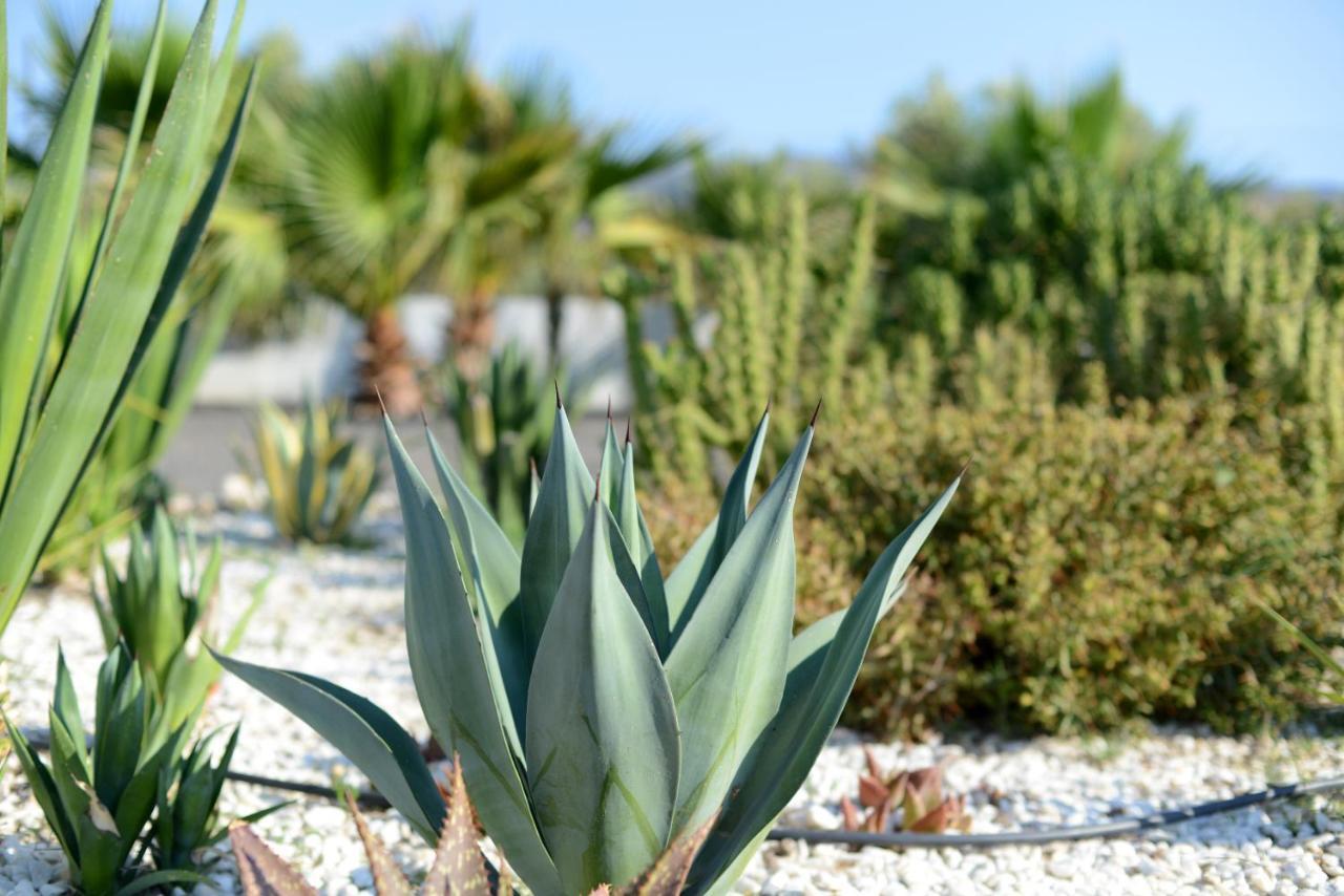 تابيرناس Cortijo Oro Verde B&B المظهر الخارجي الصورة